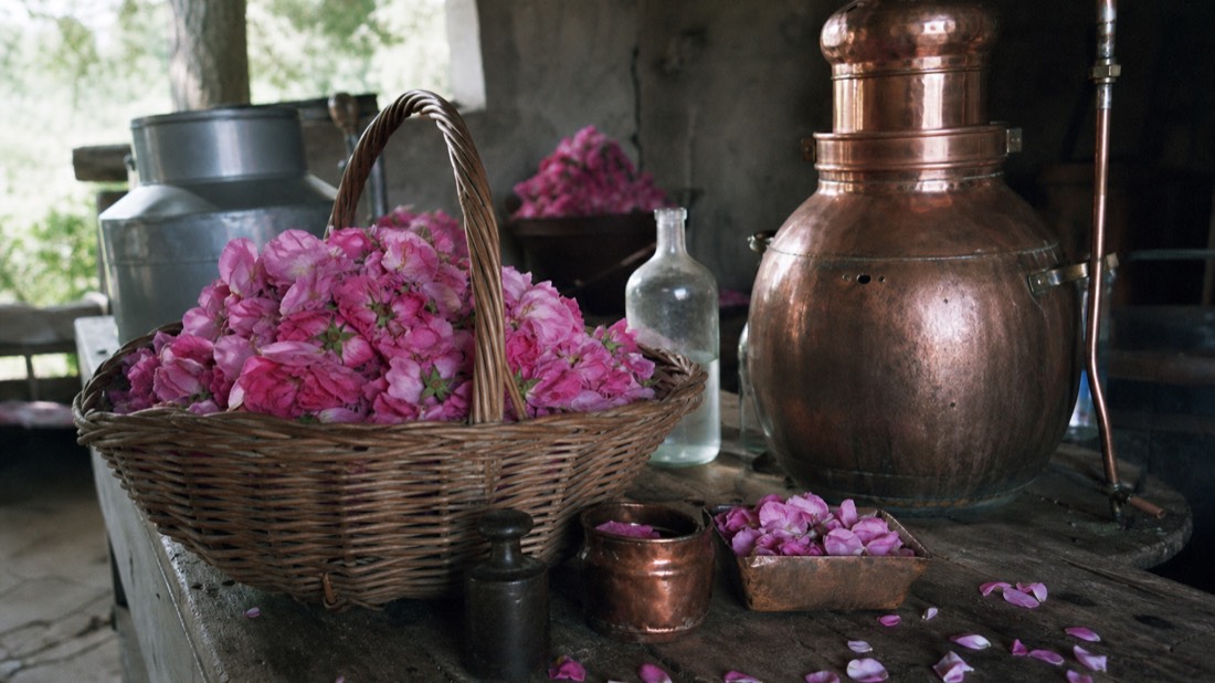 Basket of fresh rose petals beside copper distillation equipment on a rustic wooden table in Provence
