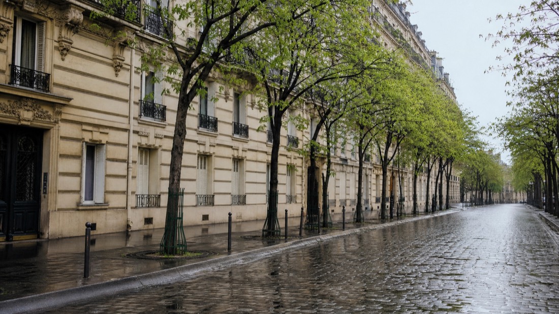 Chestnut trees in young spring leaf along a Paris avenue with Haussmann facades in soft light